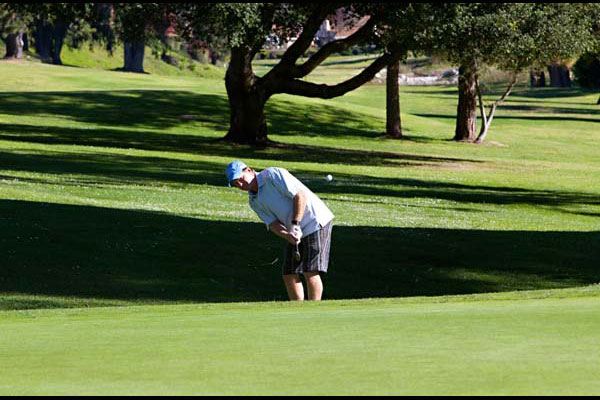 golfer chipping