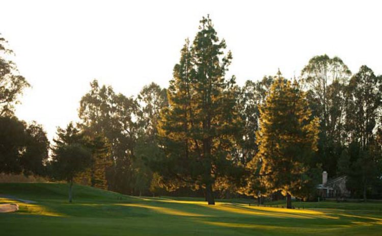view of golf course with trees