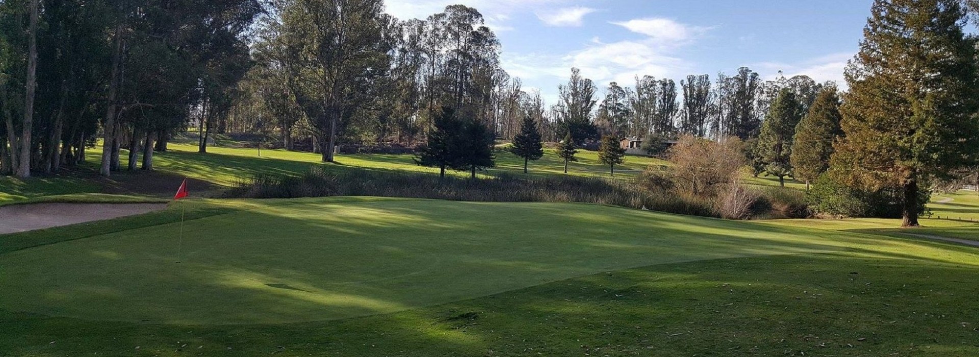 Golf course green with trees shading the fairway